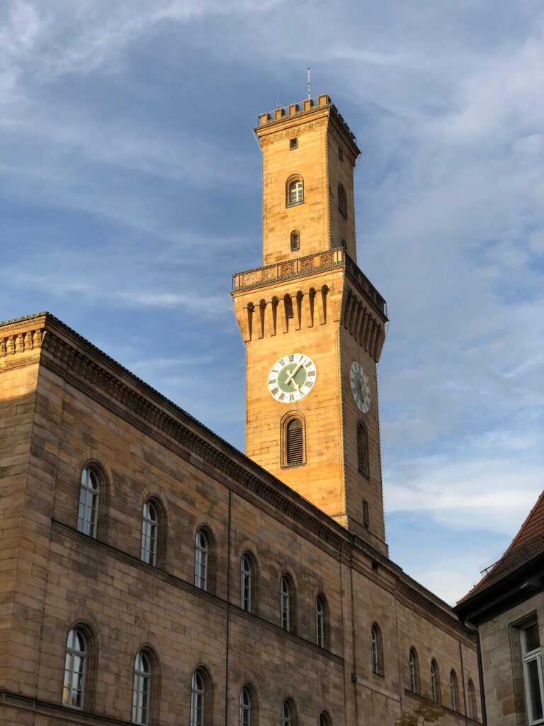 WhatsApp Image 2025-11-08 at 12.23.35